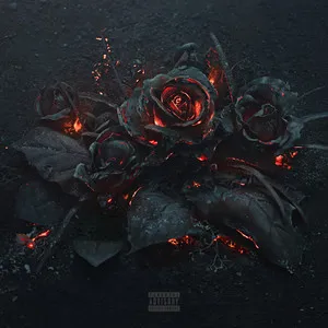Album Artwork