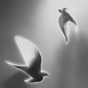 Album Artwork