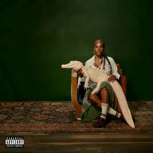 Album Artwork